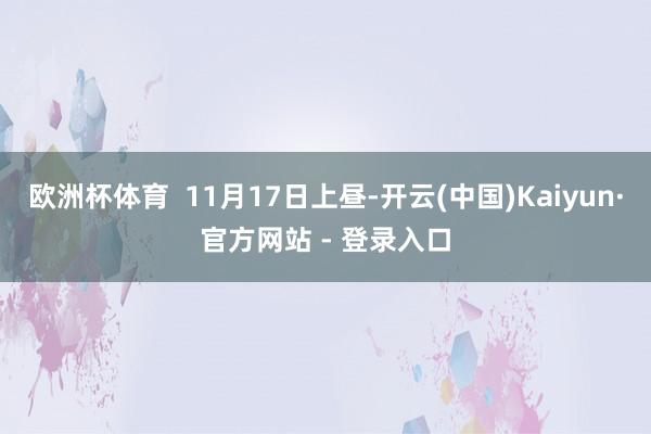 欧洲杯体育  11月17日上昼-开云(中国)Kaiyun·官方网站 - 登录入口